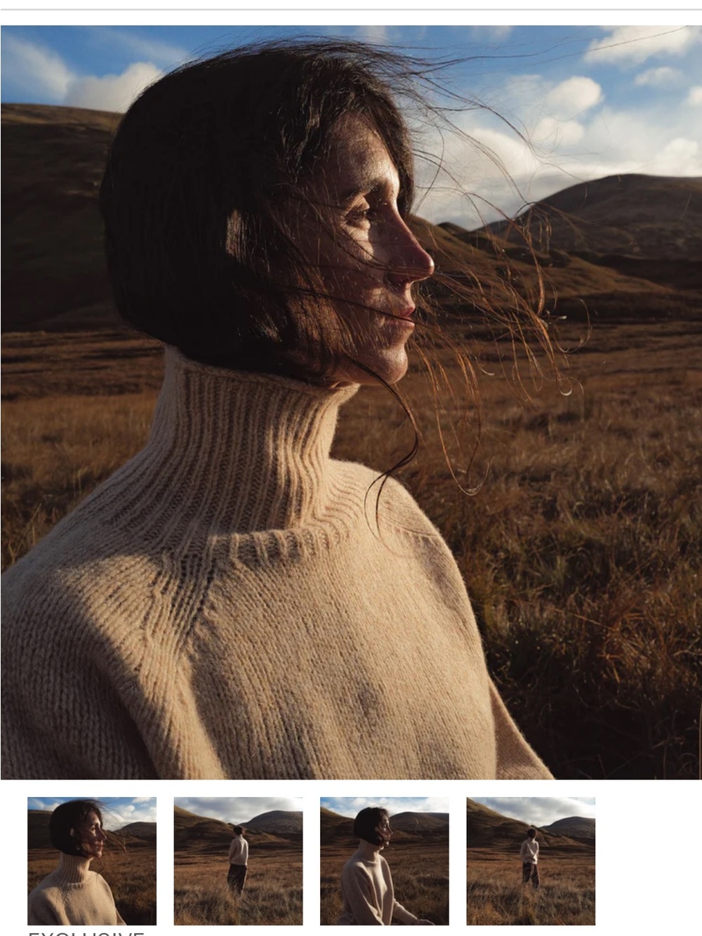 MamaOwl Siskin Tan Turtleneck Sweater - Women